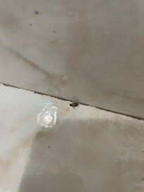 That was the first one I saw when I opened the door