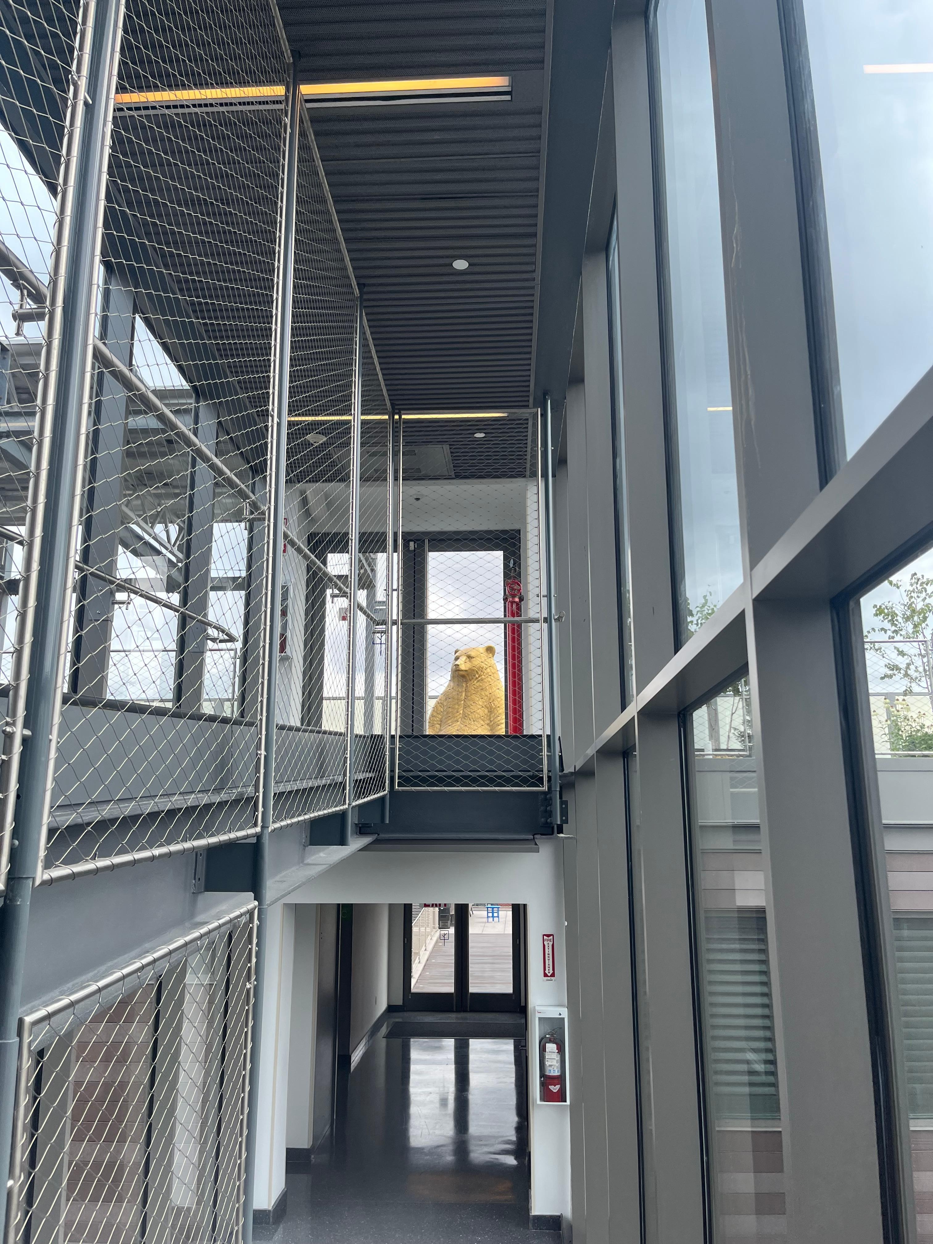 Interior or 5th floor patio doorway and gold bear statue.