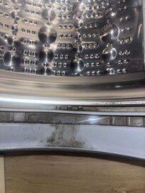 Moldy washer