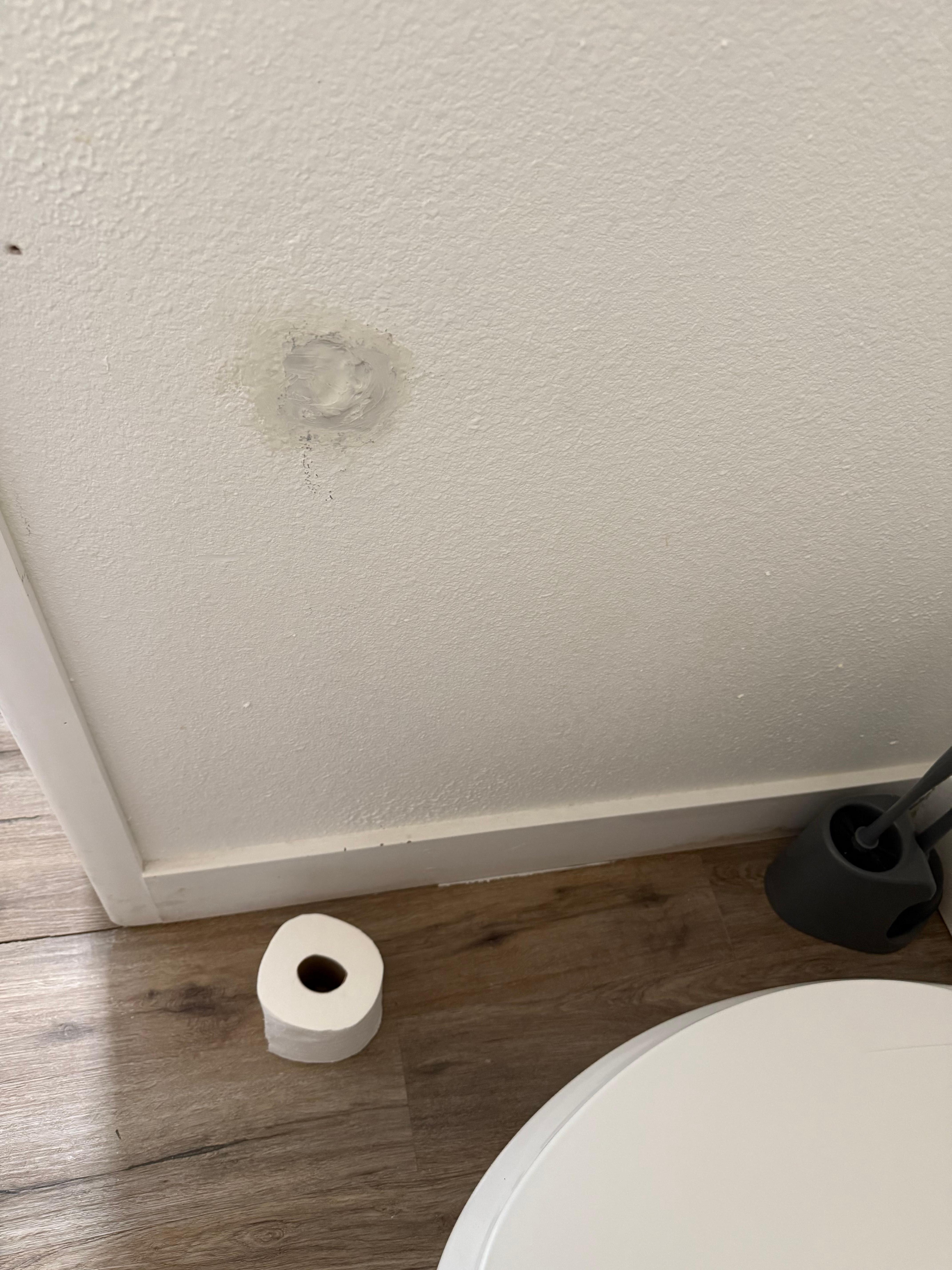 Toilet paper holder?