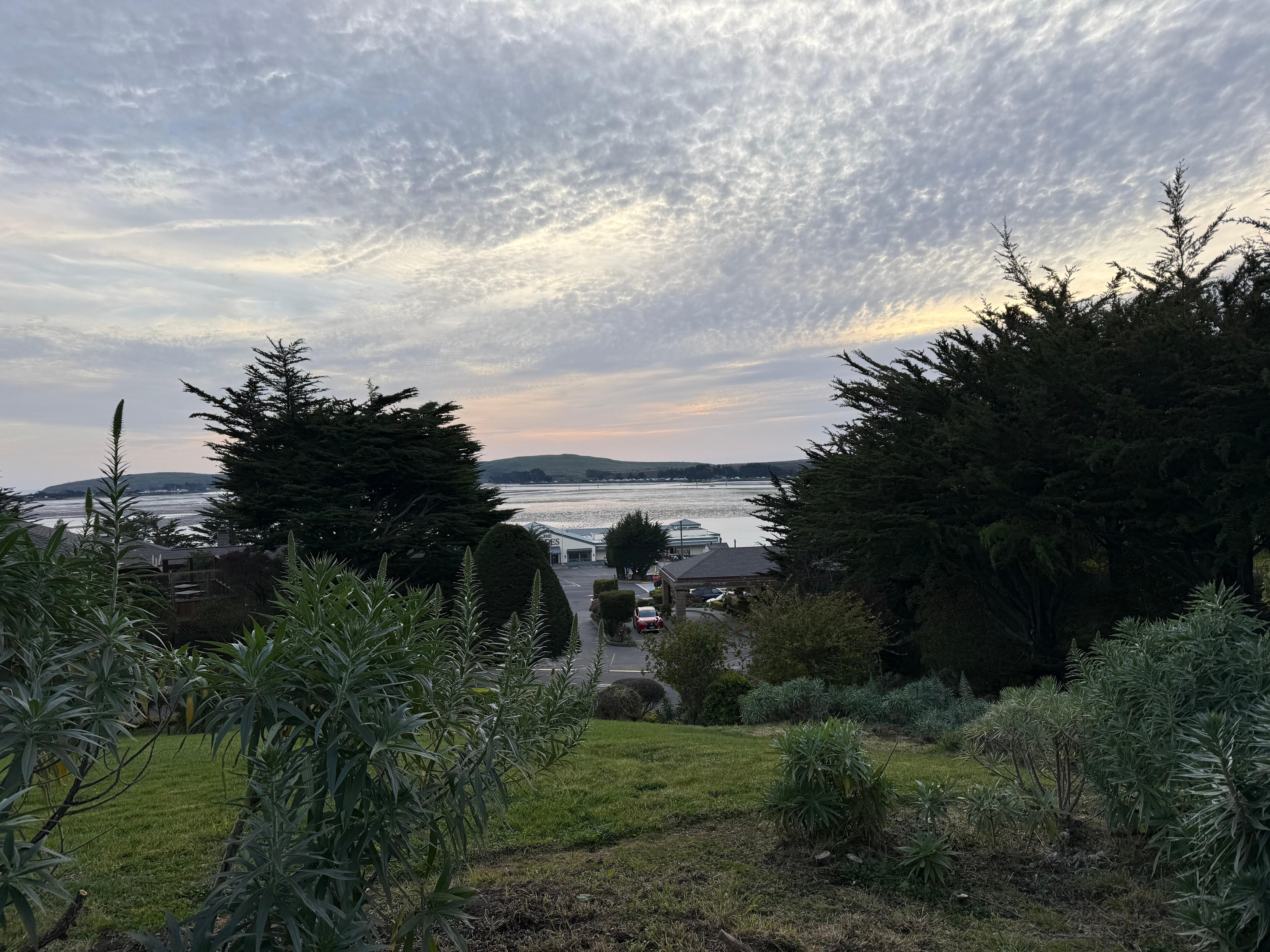 Afternoon view from our patio