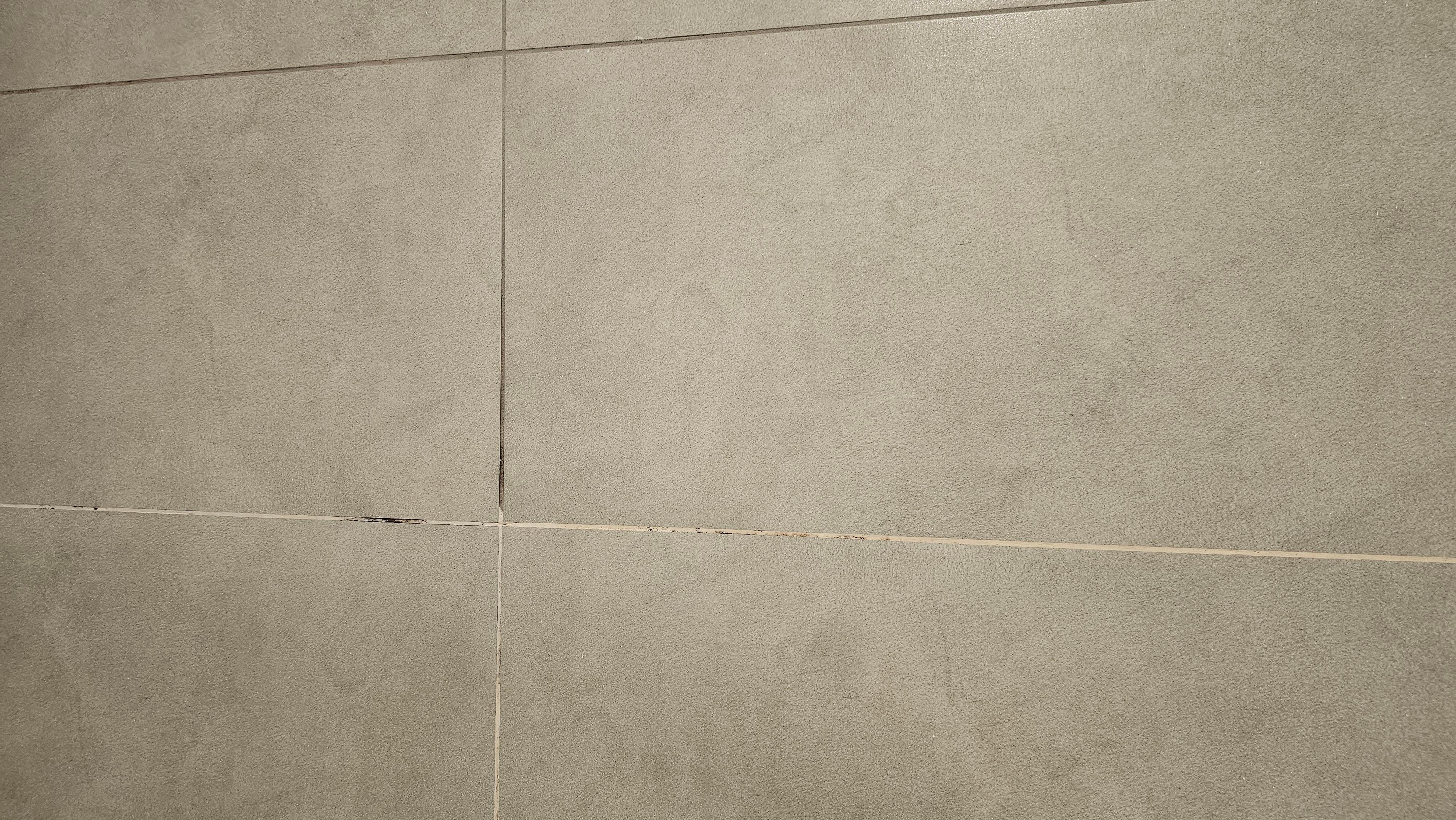 Mold/mildew in grout 