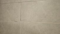 Mold/mildew in grout