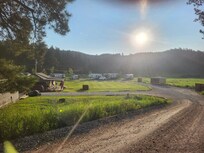 Nice mix of cabins, rv spaces& tent spaces with the background of Black Hills Forest