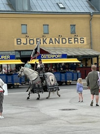 Gotländsk riddare