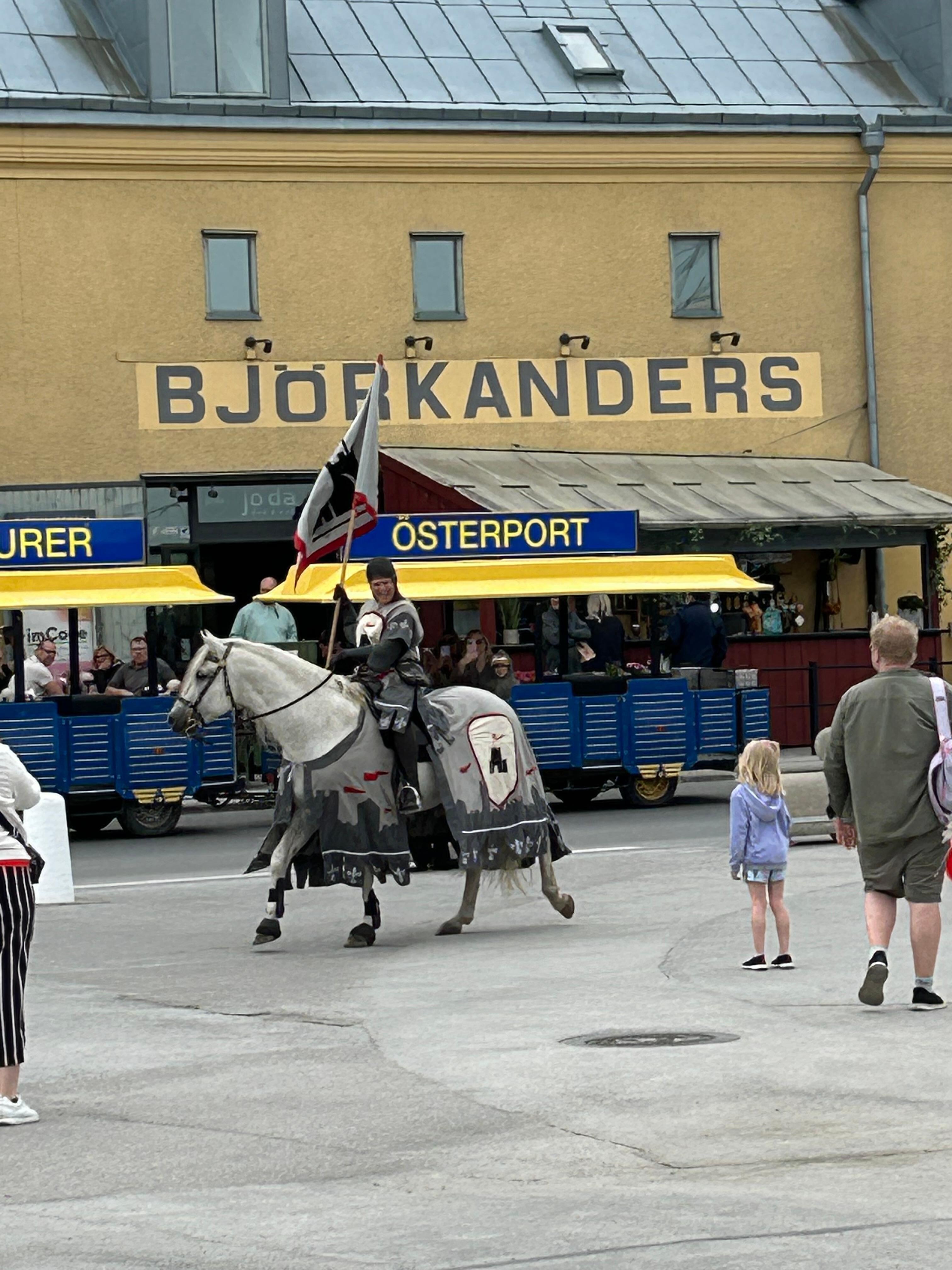 Gotländsk riddare