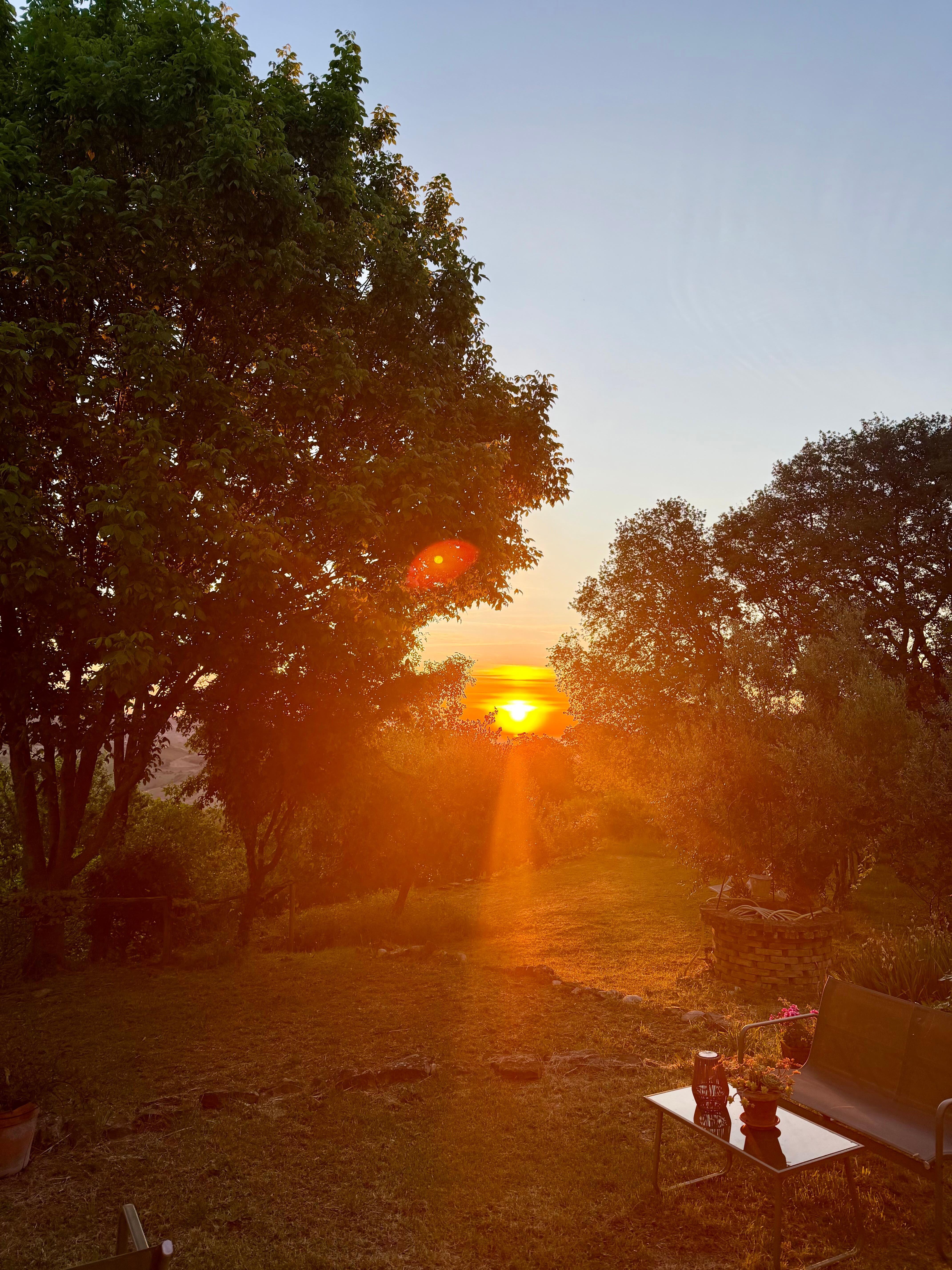 Sunrise
