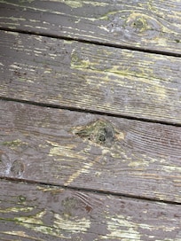 Second floor deck off kitchen. Mold, mildew and holes wearing through