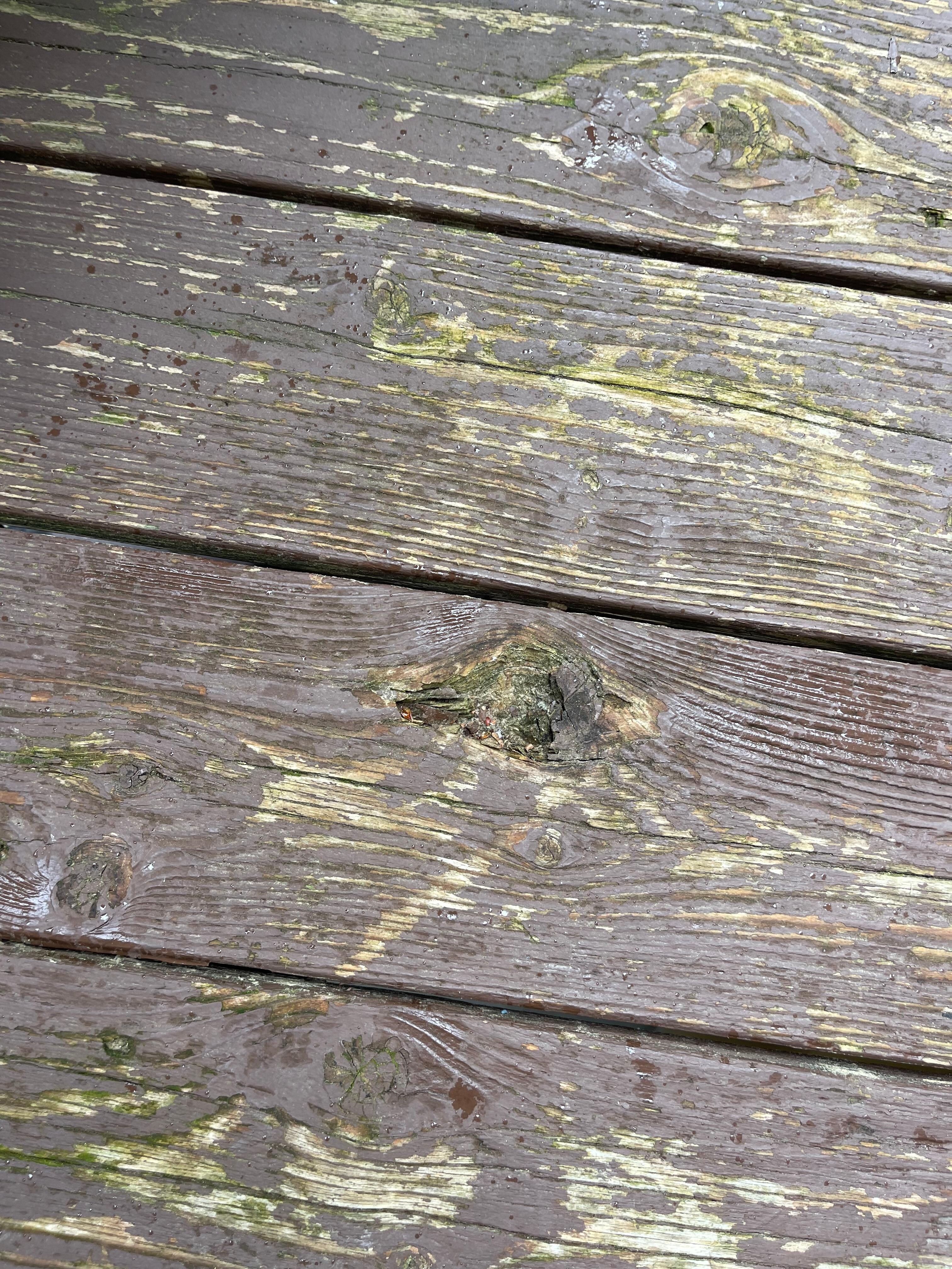 Second floor deck off kitchen. Mold, mildew and holes wearing through