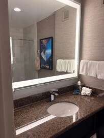 Hi Resolution Lighted Mirror