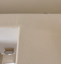 Dusting was neglected for anything out of arms reach