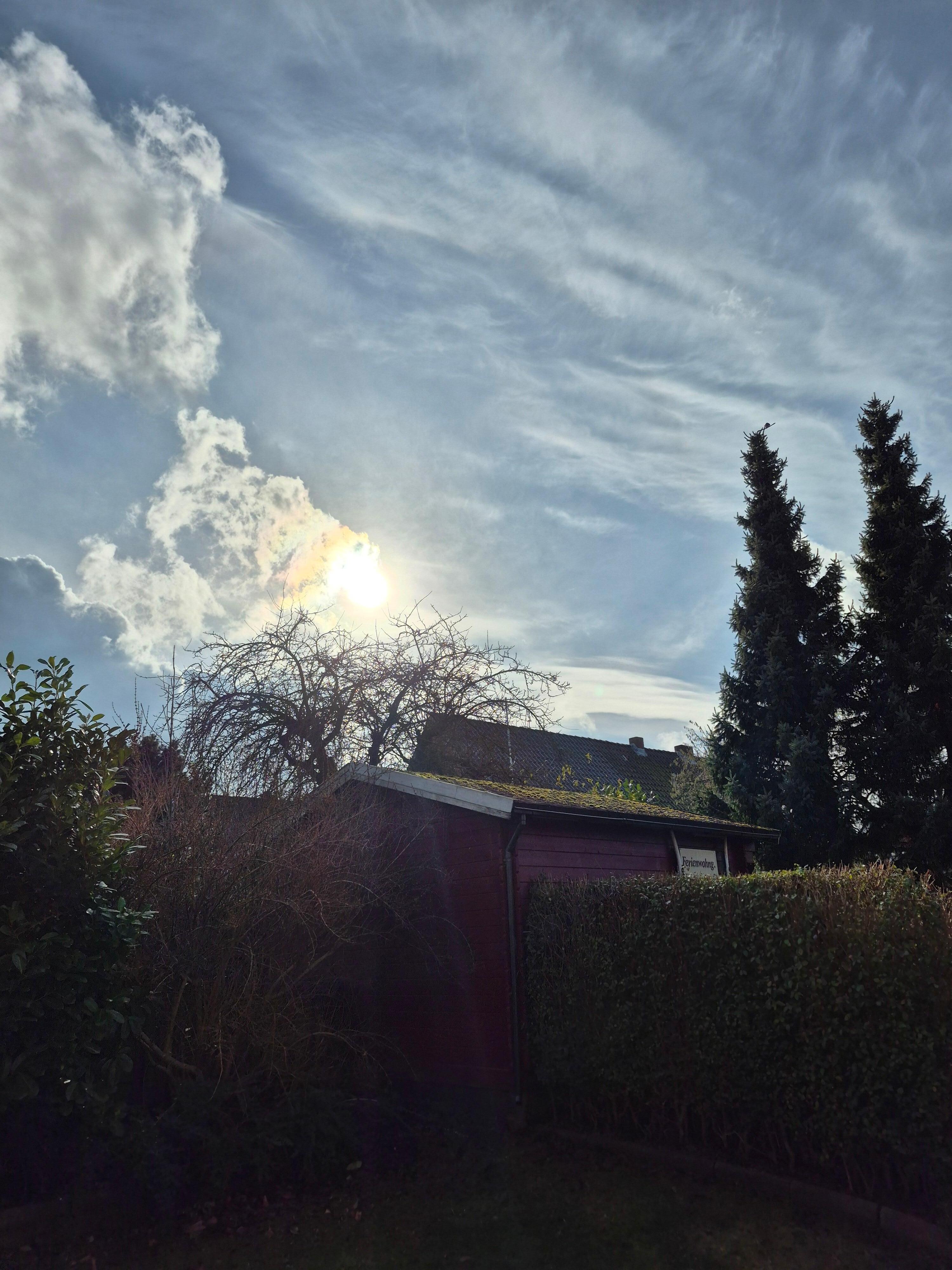 Morgendlicher Ausblick aus der Eingangstür