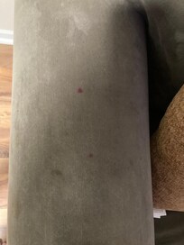 Upstairss couch