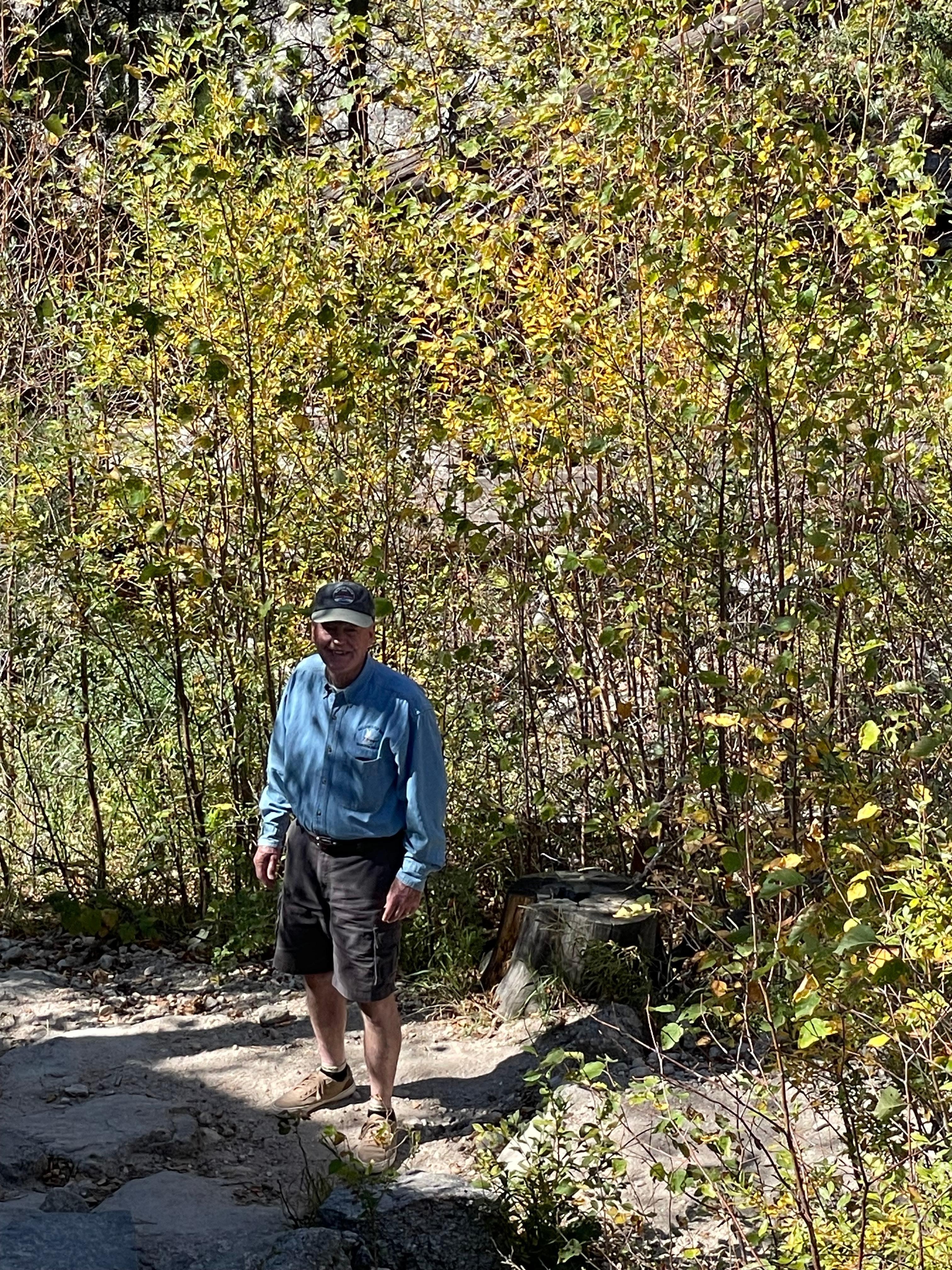 Aspens changed color a lot while we were here.