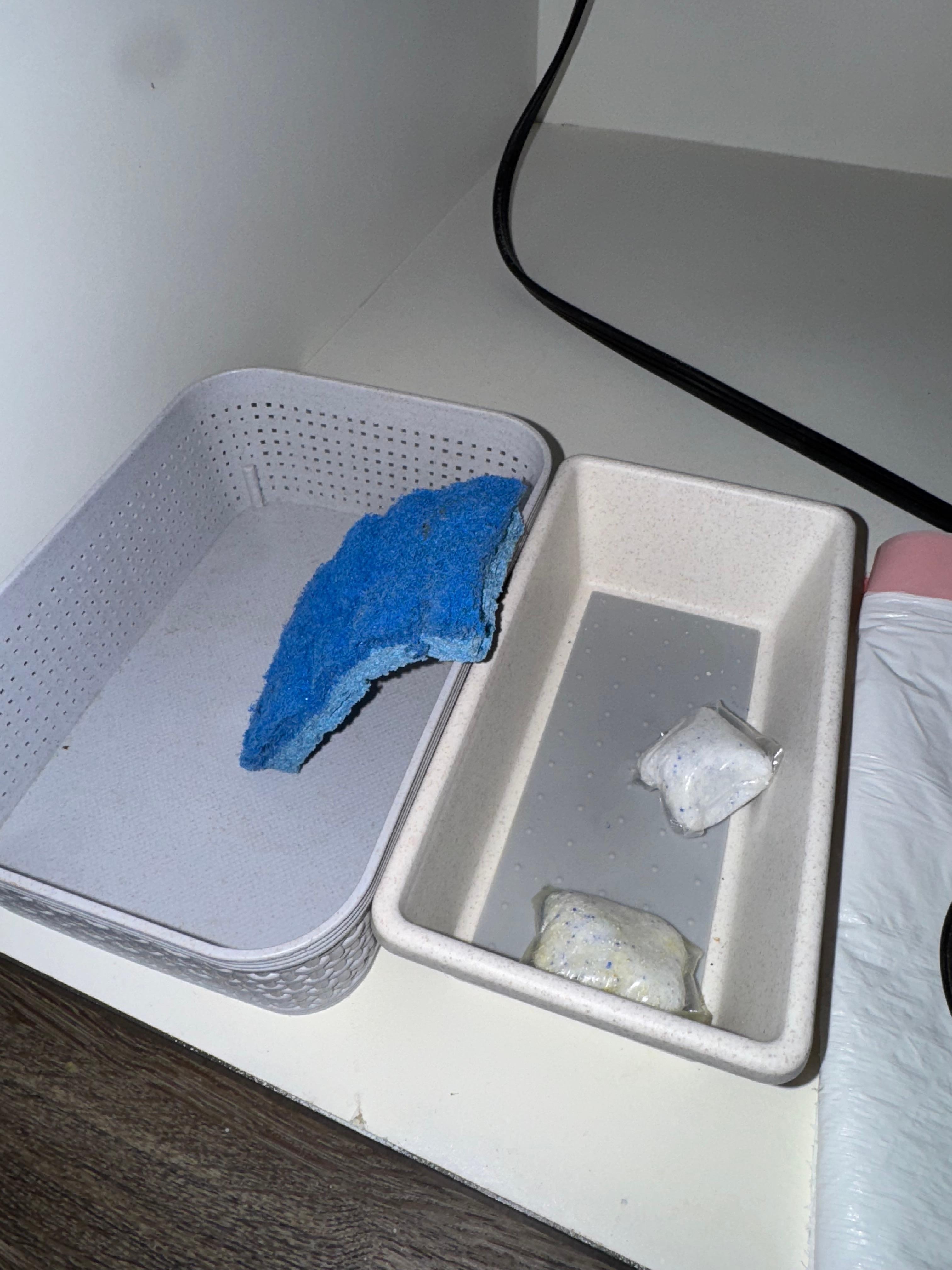 Host should be providing a new and clean sponge for each day. This sponge is used.