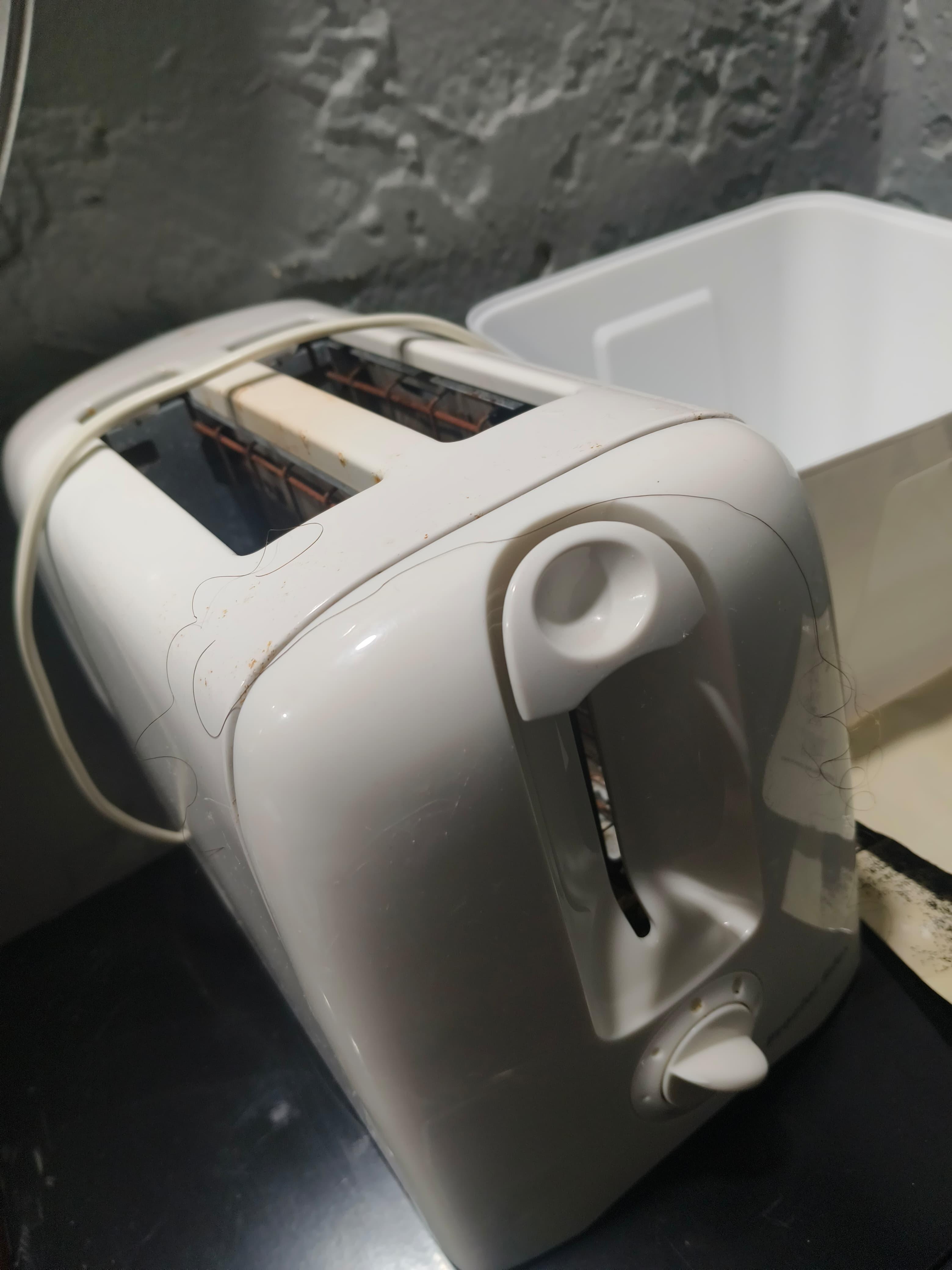 Amazing hair on the toaster, how welcoming!!