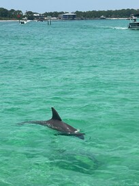 Crab island is a must!!
