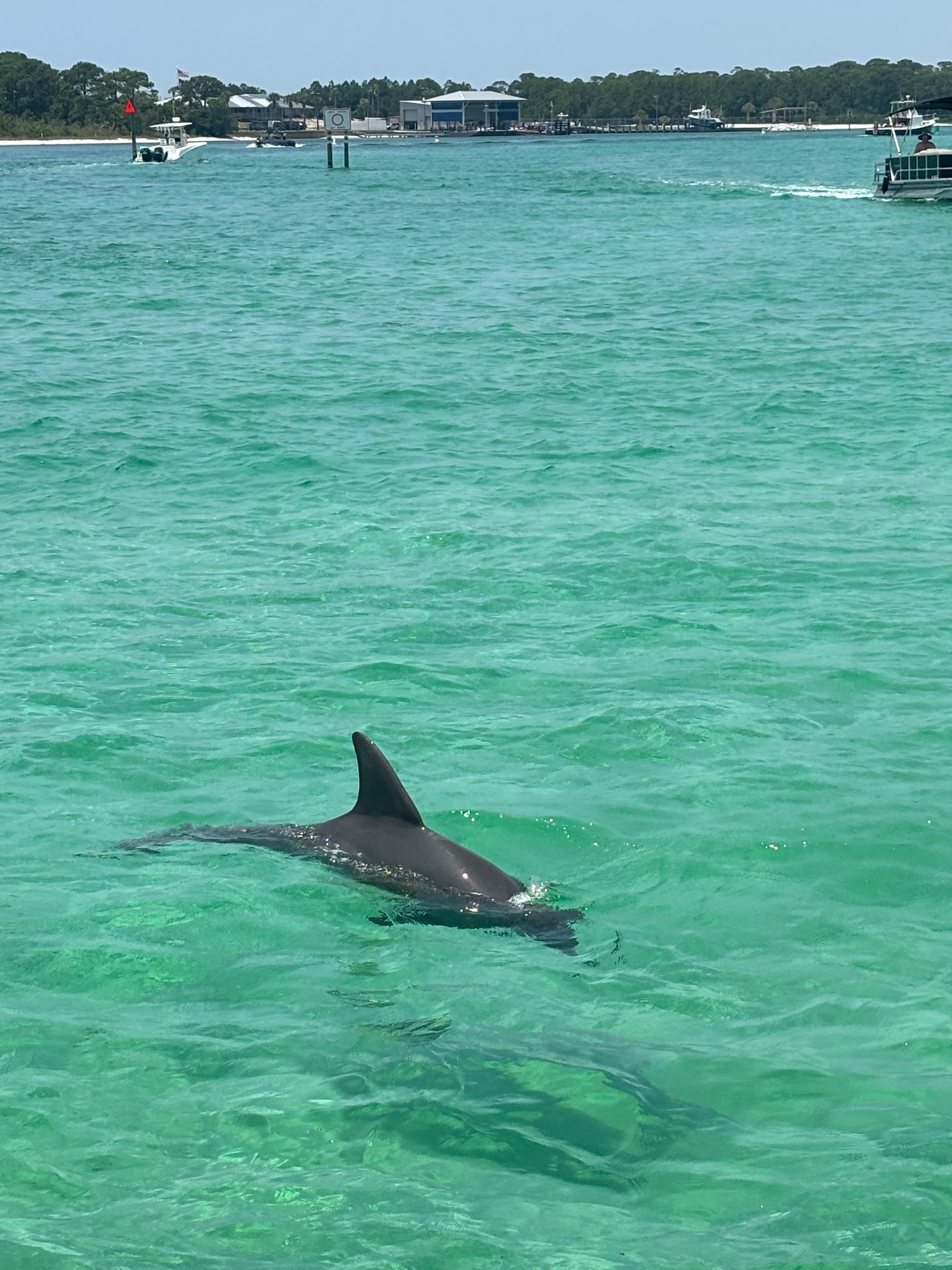 Crab island is a must!!