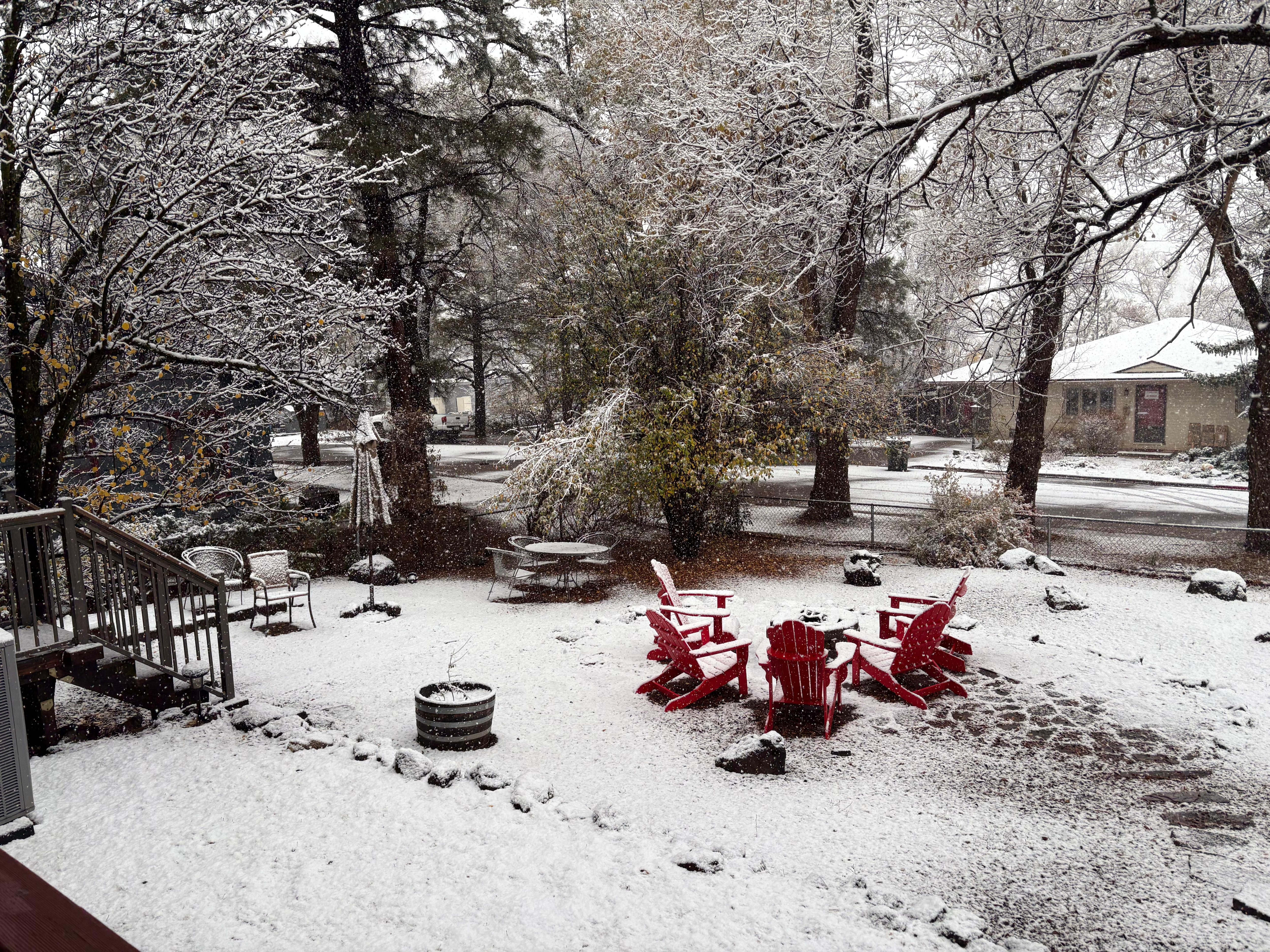 We had a surprise snowfall. 