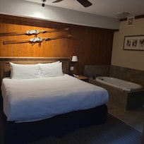 Bachelor suite