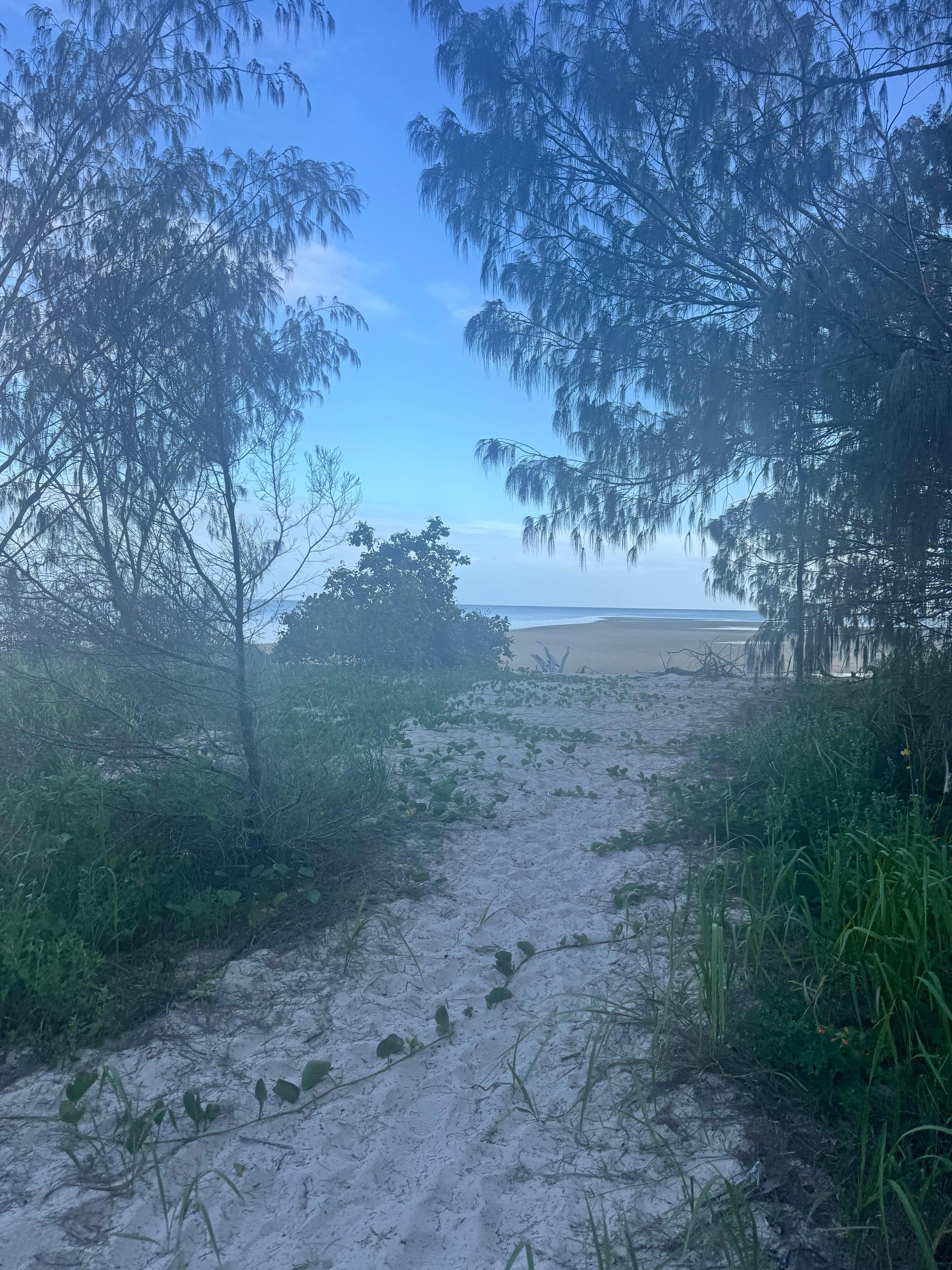 Quick walk to the water 