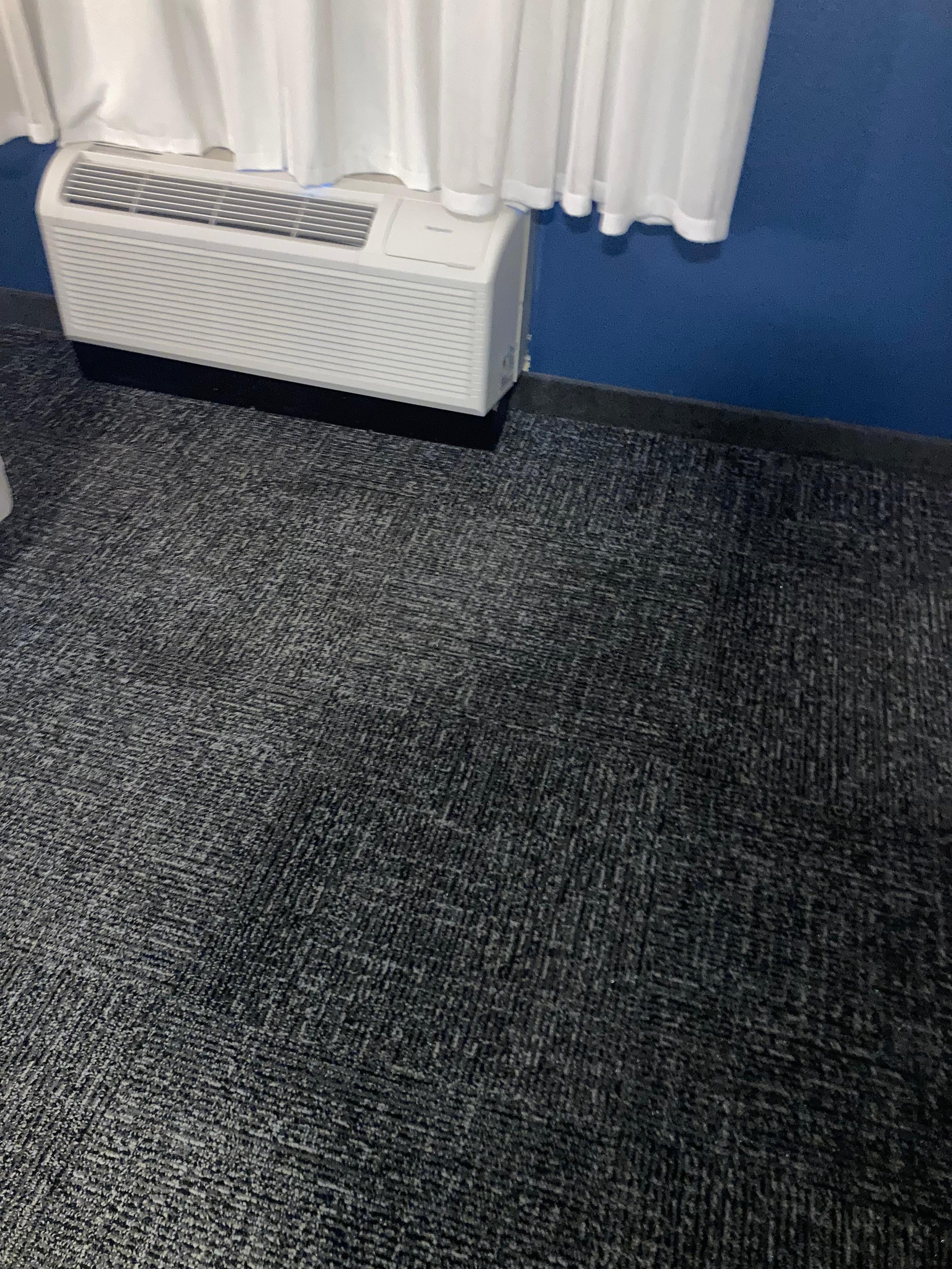 The area where I hit the roach, cannot find it