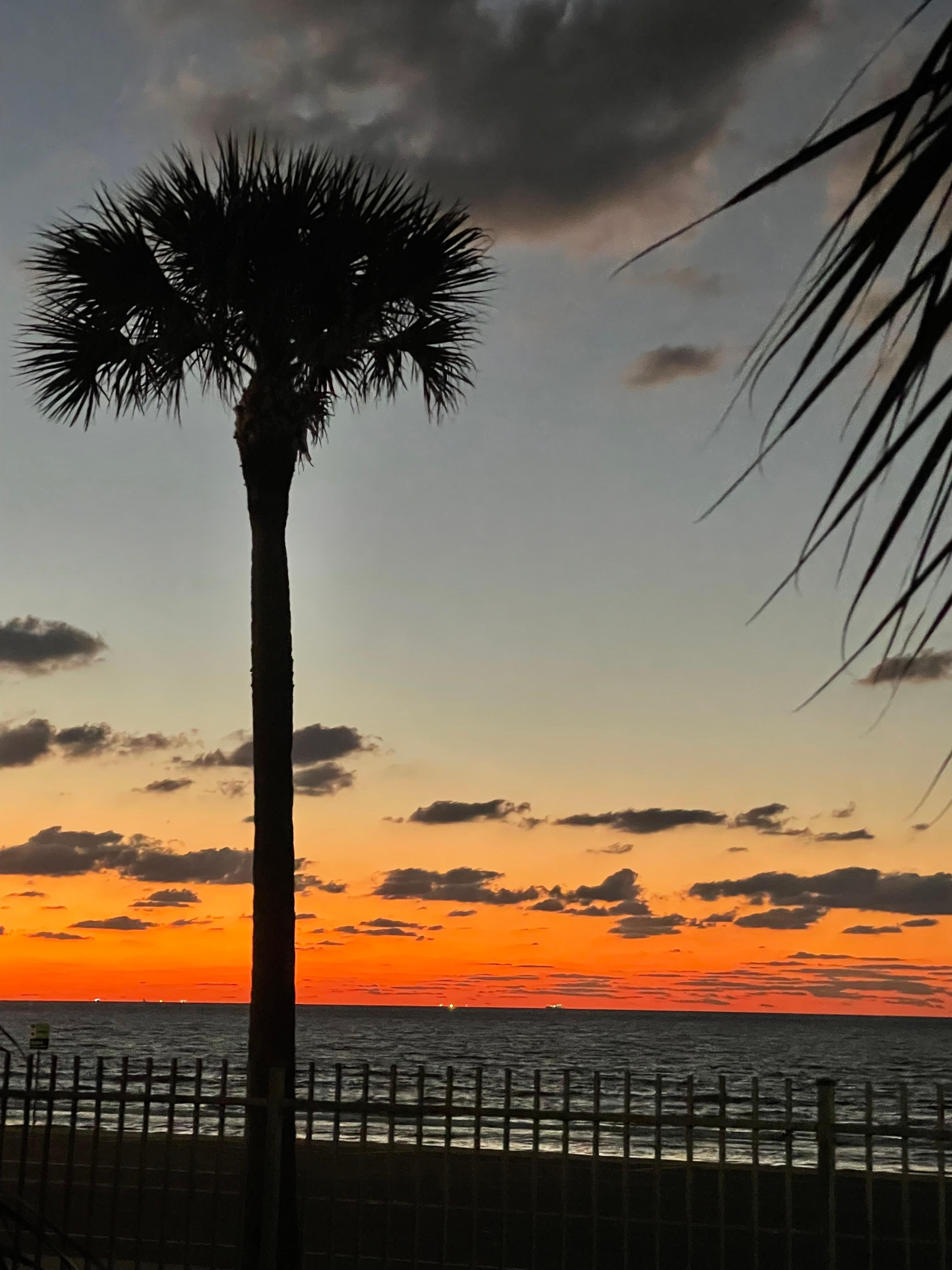 Another beautiful sunrise from the beachfront patio