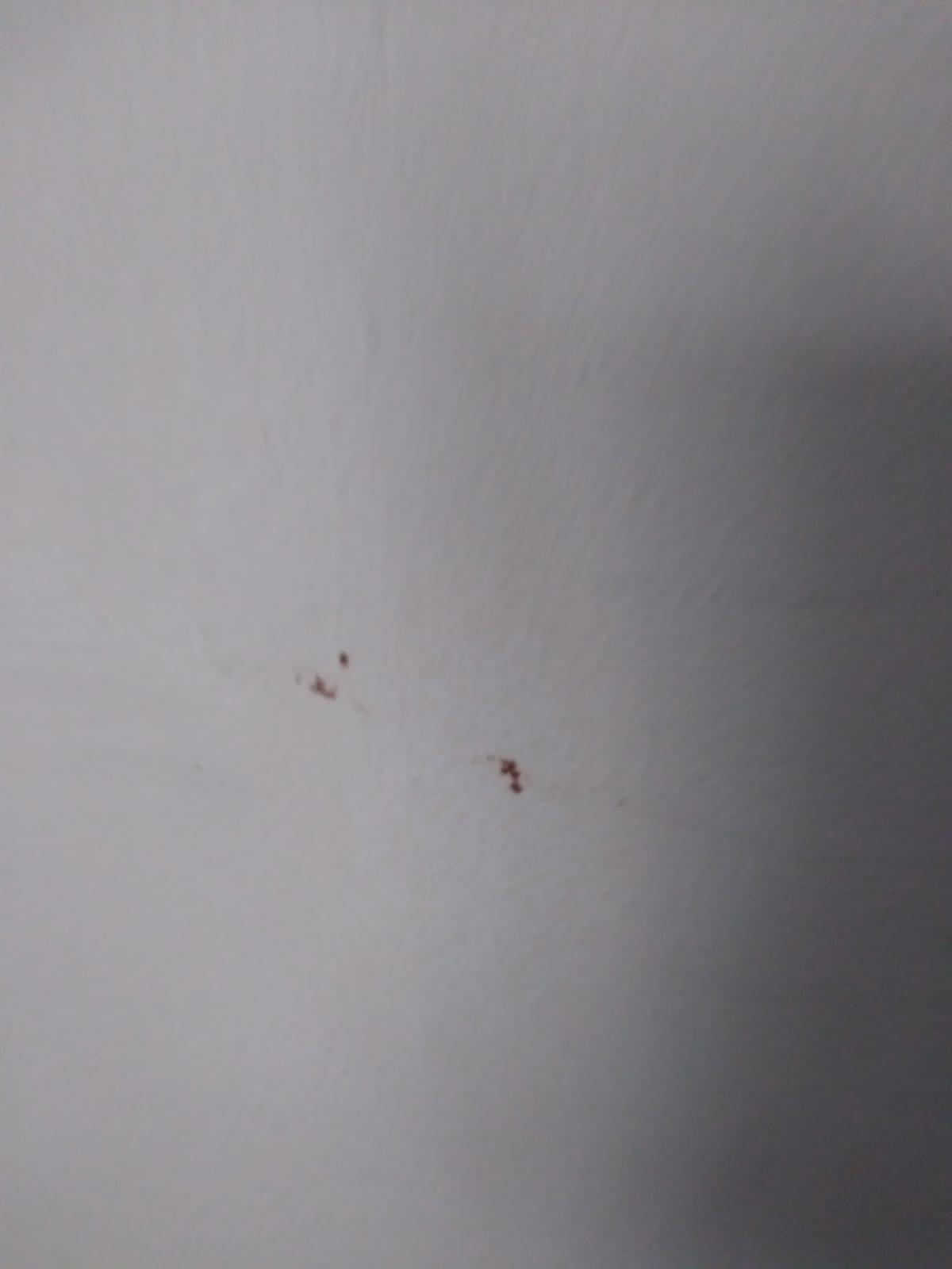 Questionable brown smears on walls in bedrooms.