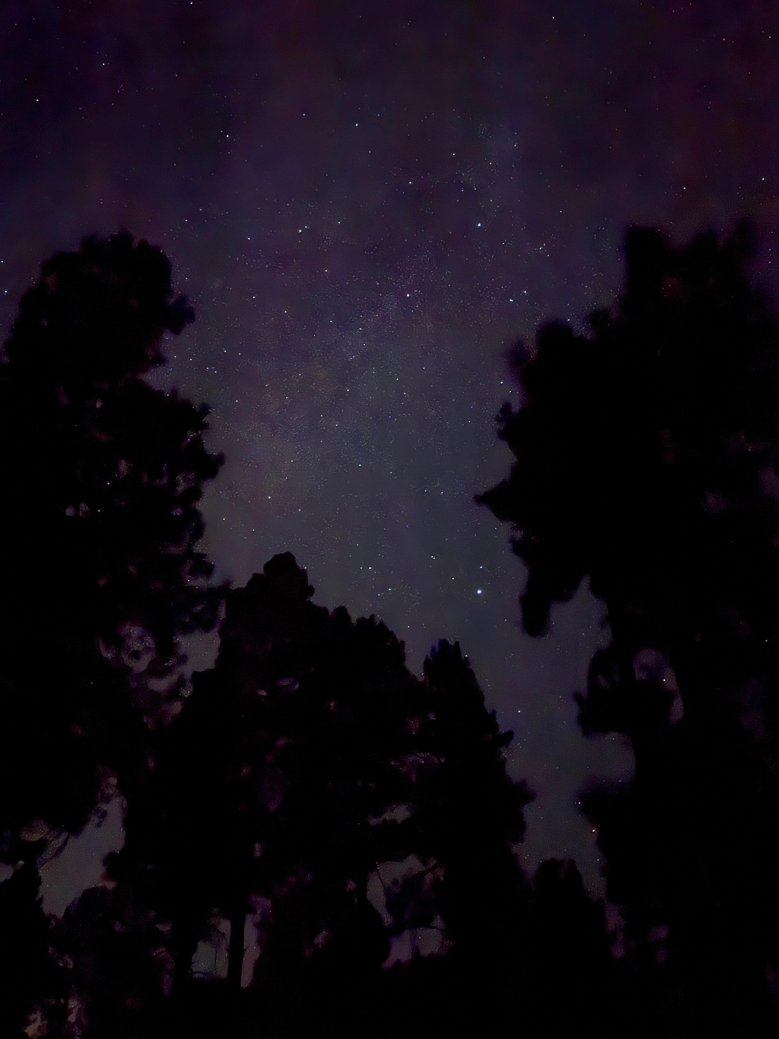 Night sky on the property