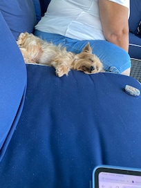 Naptime