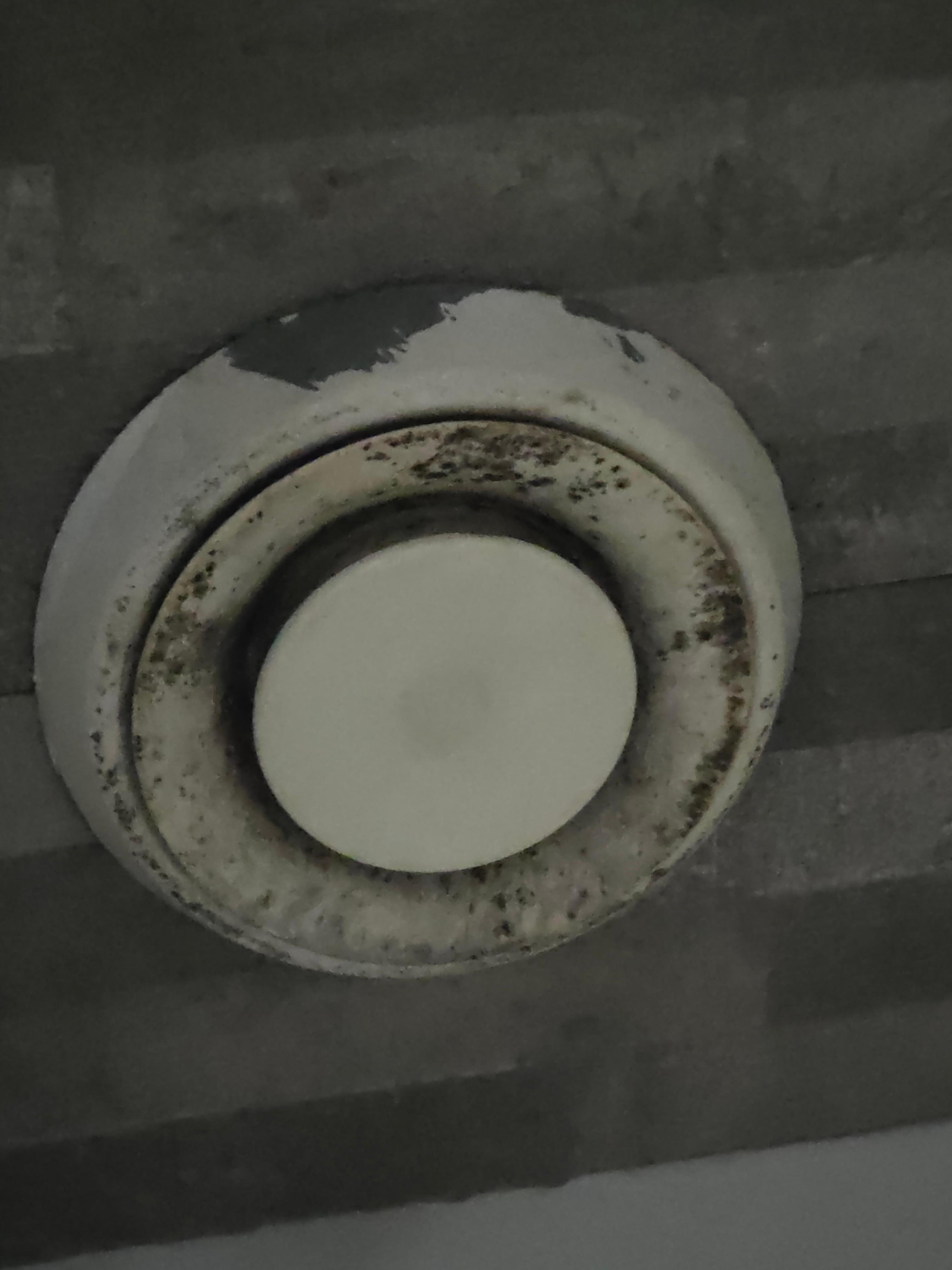 Accumulation of dust and dirt around the house.