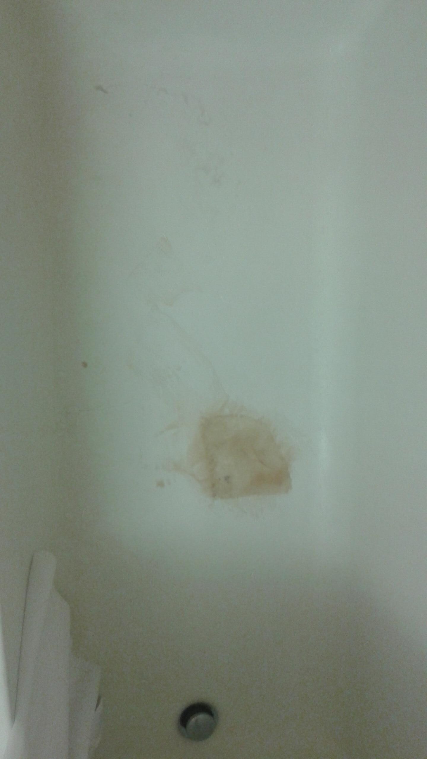 Moldy toilet
