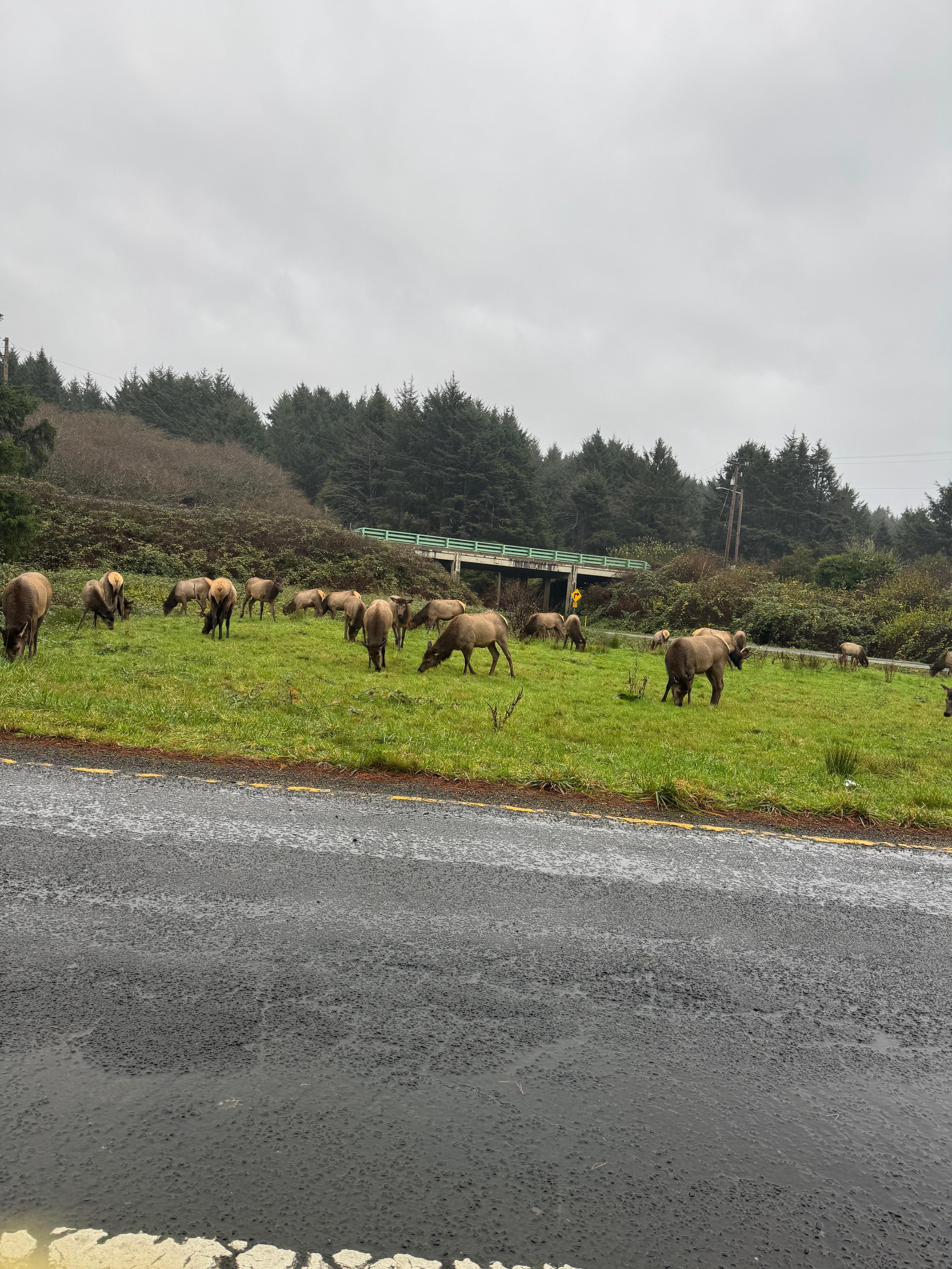 Viewed at nearby Cannon Beach. 