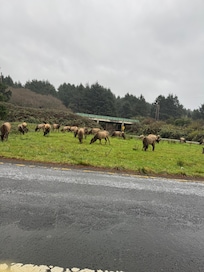 Viewed at nearby Cannon Beach.