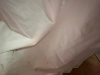 Moldy shower curtain