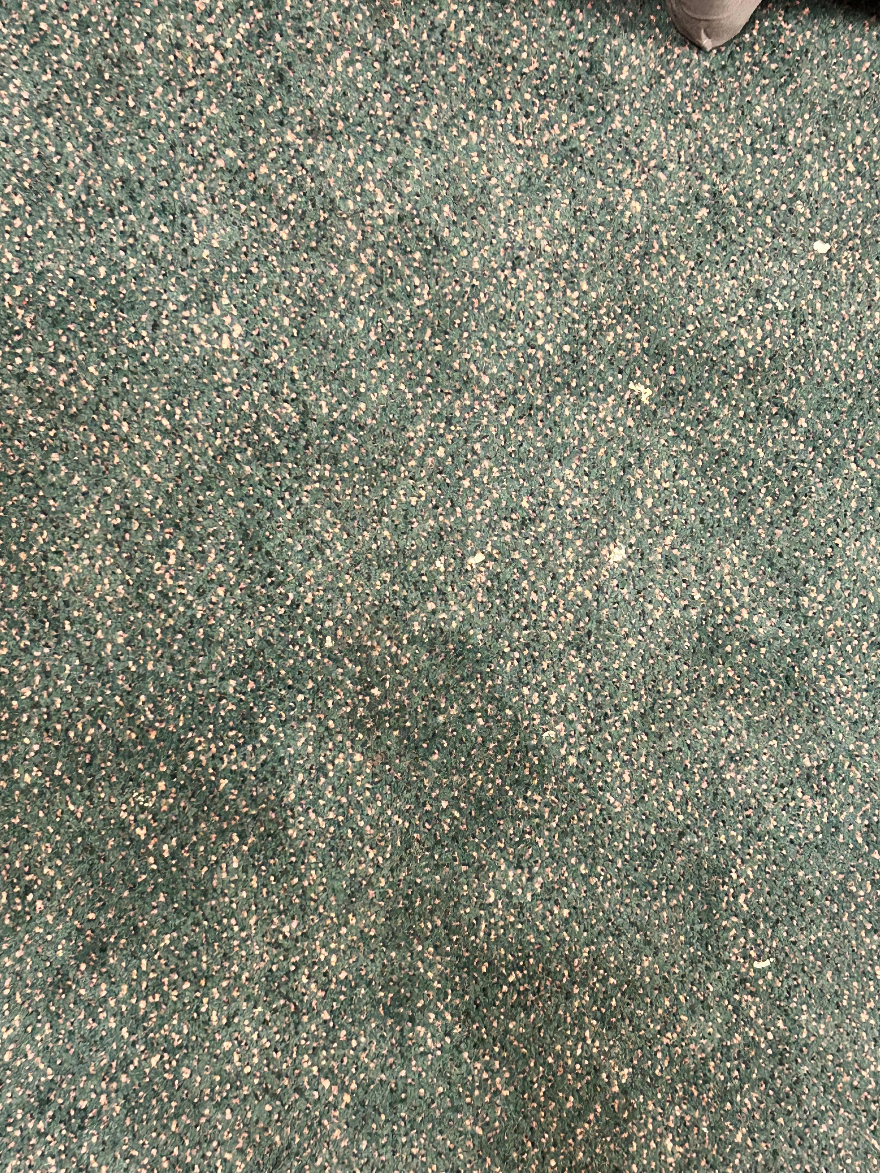 Filthy carpet 