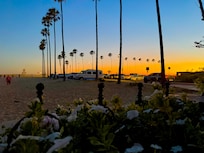 View from the patio