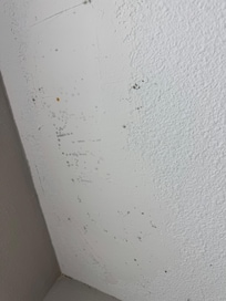 Mildew in room