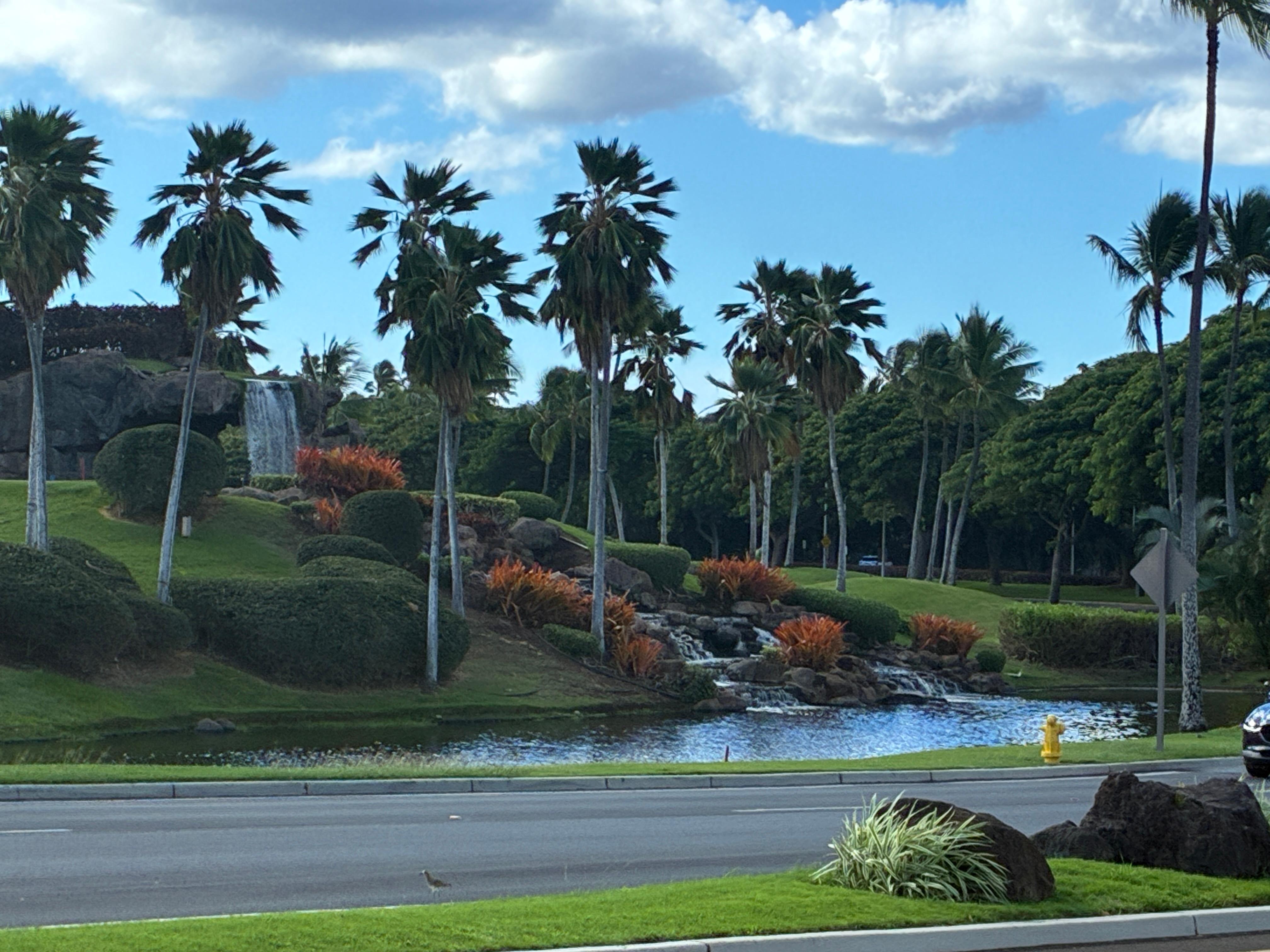 Just outside the gate