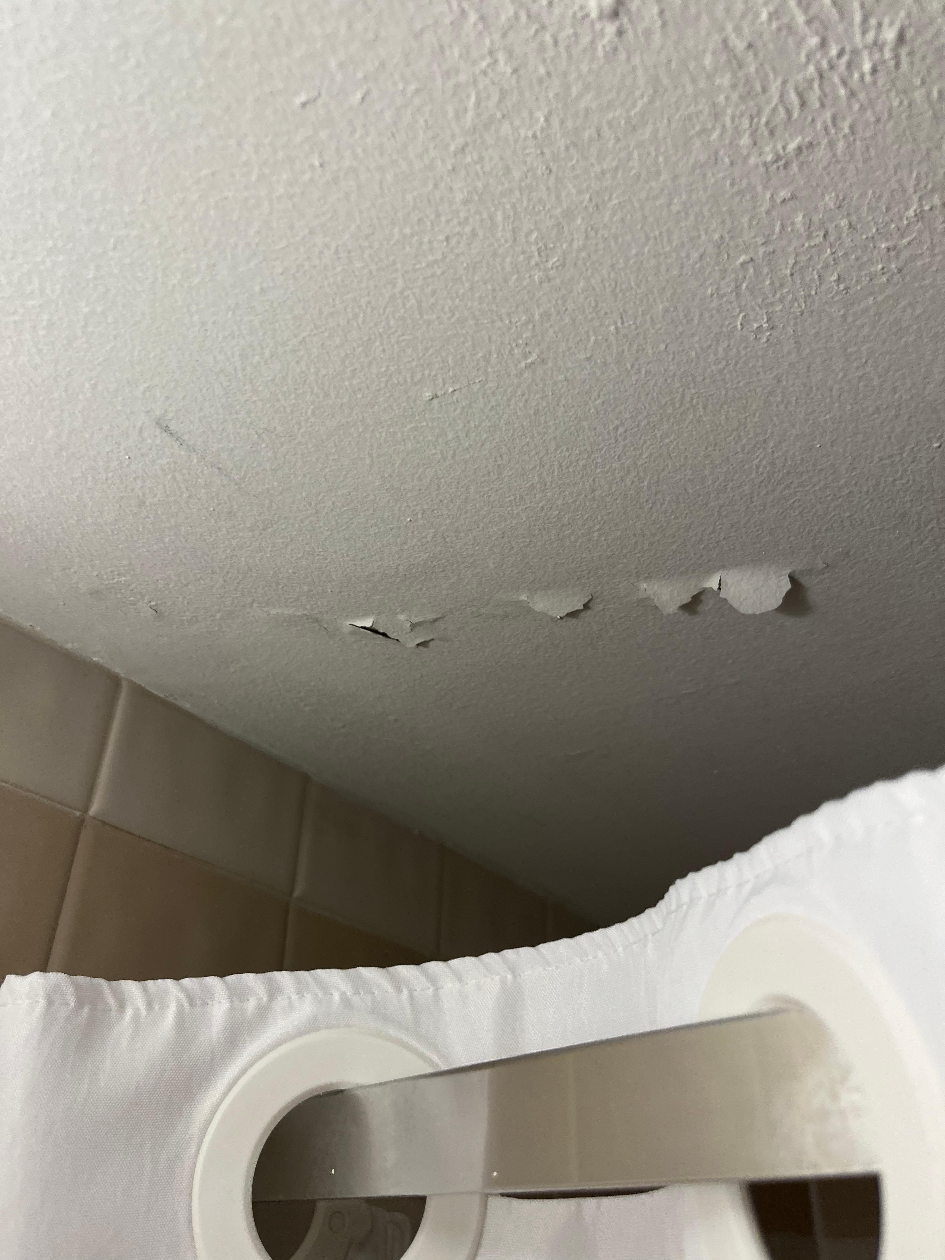 Restroom ceiling torn up