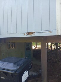 Termite damage