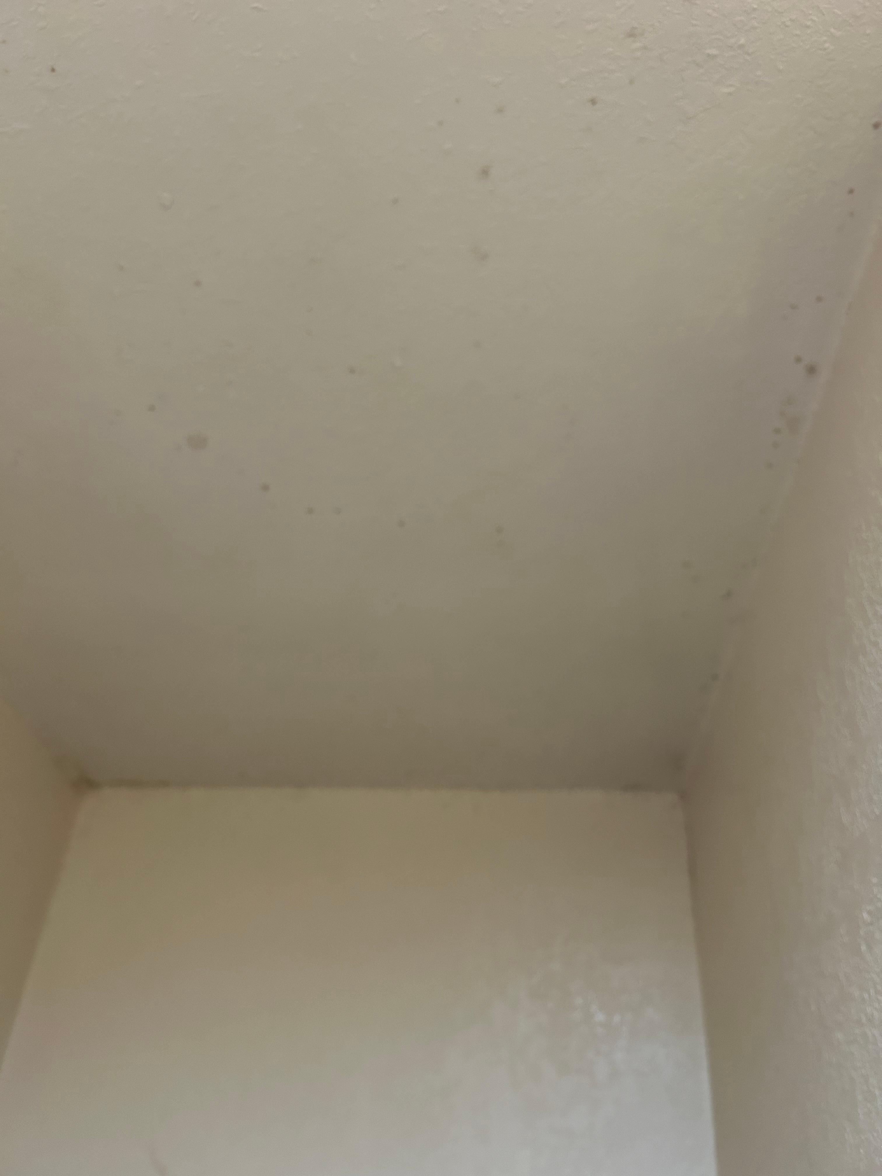 Mold in shower