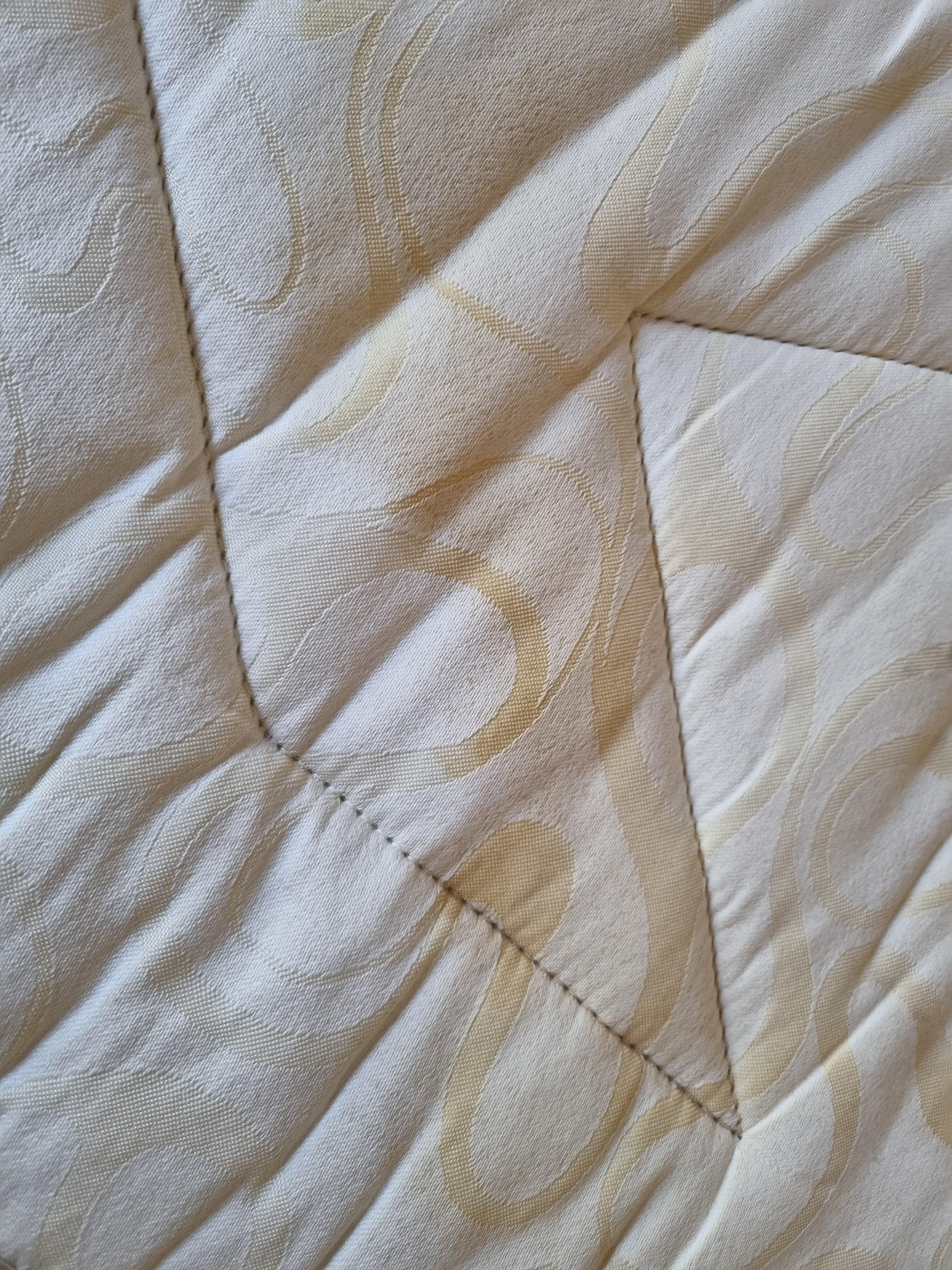 Stained mattress