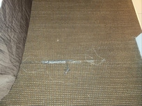 Big tears in carpet. Needs to be replaced