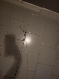 Cracked flooring