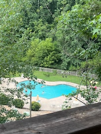 View from back porch.