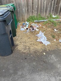 This pile of garbage is where homeless slept outside my door; the host disregarded my concerns about this and when I opened the door (no peephole to check), and someone was there taking the groceries that had been delivered after stealing clothes.