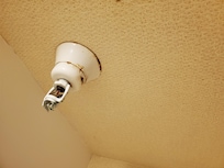 Mold?