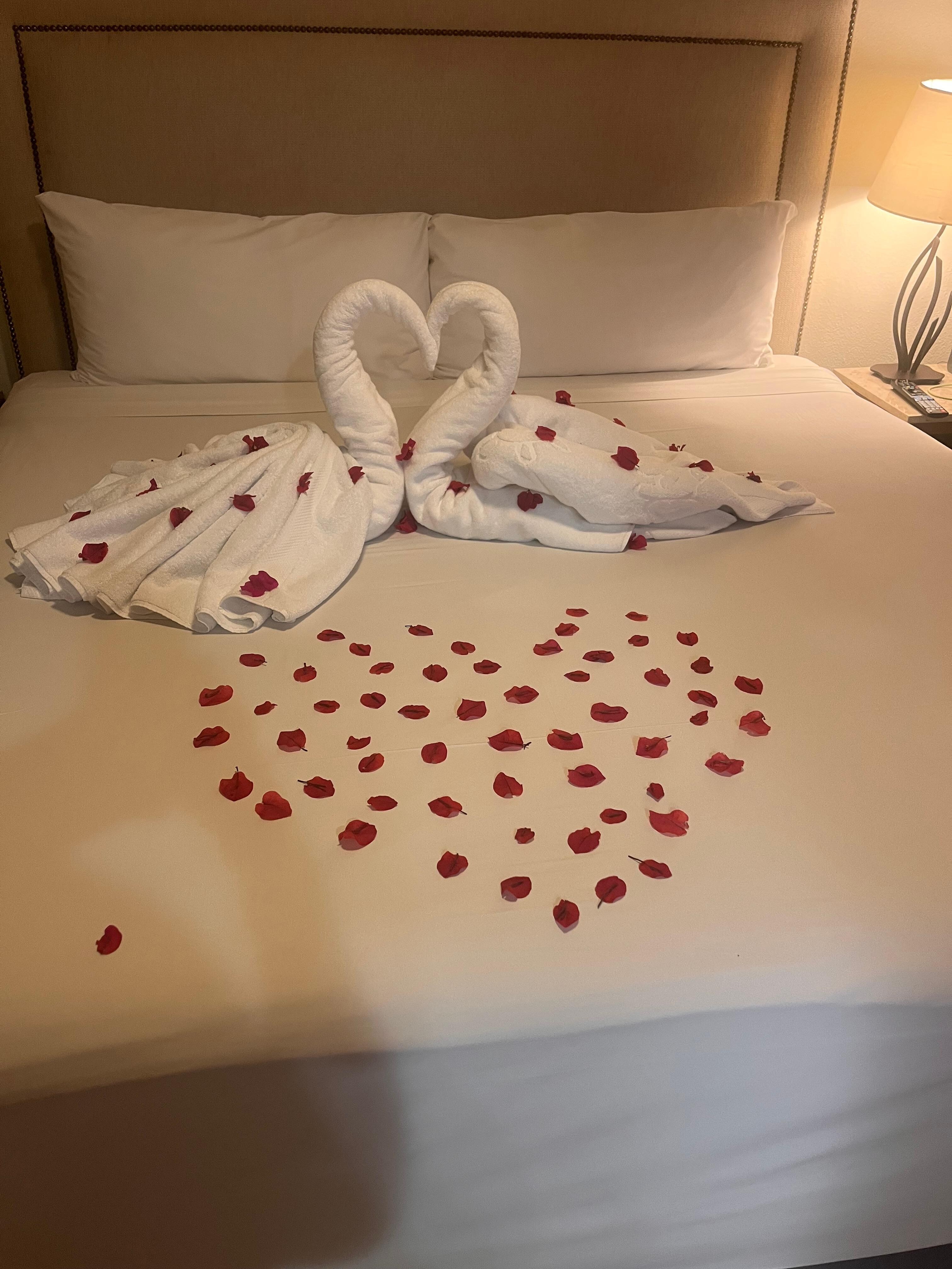 They decorated our bed for our anniversary 
