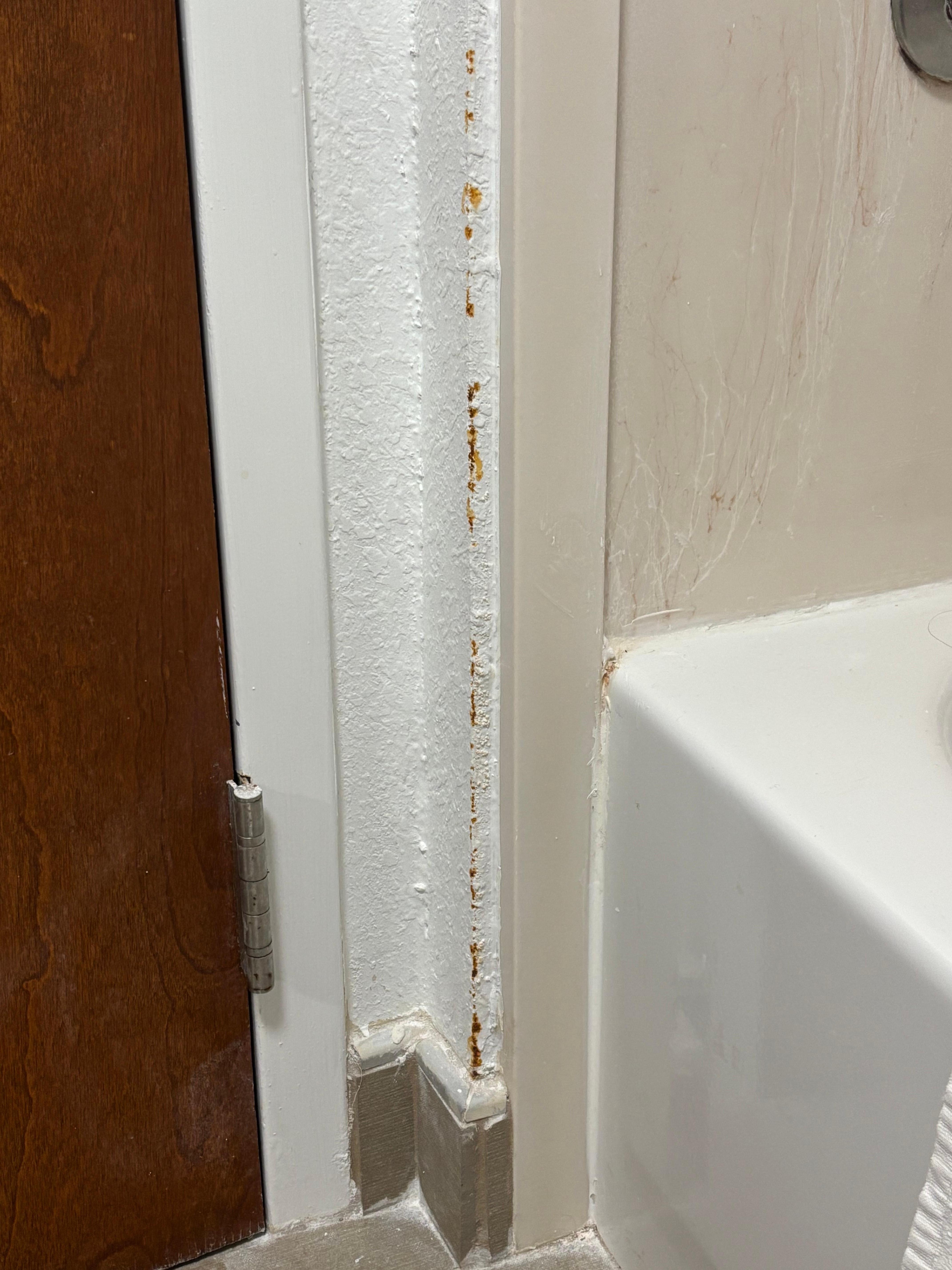 The rust colored substance near the shower.